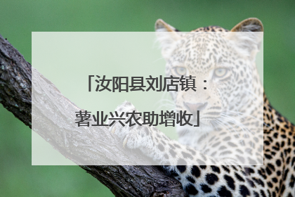 汝阳县刘店镇：薯业兴农助增收