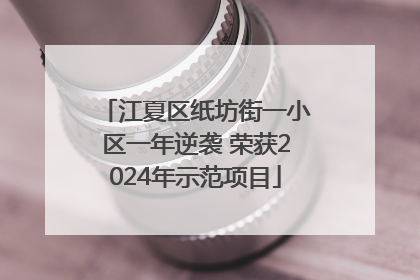 江夏区纸坊街一小区一年逆袭 荣获2024年示范项目