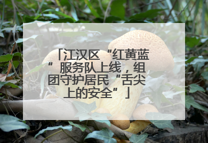 江汉区“红黄蓝”服务队上线，组团守护居民“舌尖上的安全”