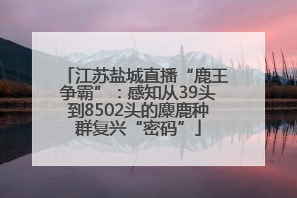 江苏盐城直播“鹿王争霸”：感知从39头到8502头的麋鹿种群复兴“密码”