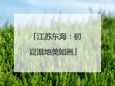 江苏东海：初夏湿地美如画
