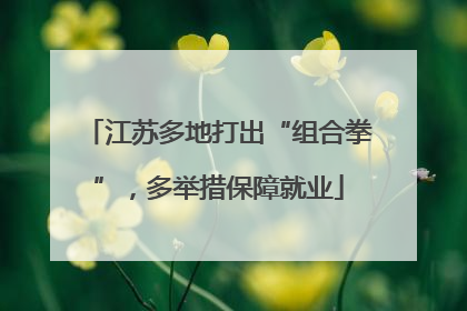 江苏多地打出“组合拳”，多举措保障就业