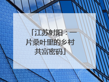 江苏射阳：一片桑叶里的乡村共富密码