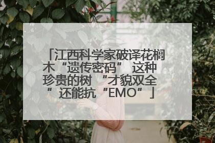 江西科学家破译花榈木“遗传密码” 这种珍贵的树 “才貌双全”还能抗“EMO”