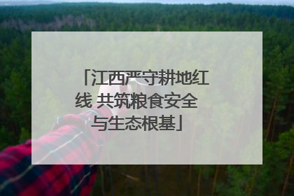江西严守耕地红线 共筑粮食安全与生态根基