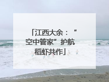 江西大余：“空中管家”护航稻虾共作