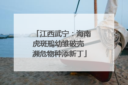 江西武宁：海南虎斑鳽幼雏破壳 濒危物种添新丁