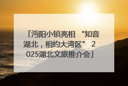 沔阳小镇亮相 “知音湖北，相约大湾区” 2025湖北文旅推介会