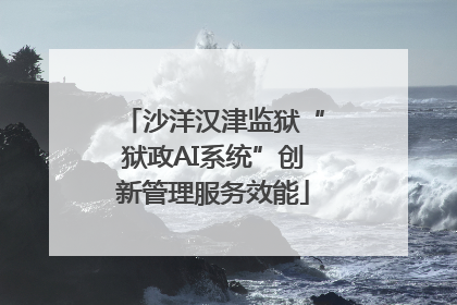 沙洋汉津监狱“狱政AI系统”创新管理服务效能