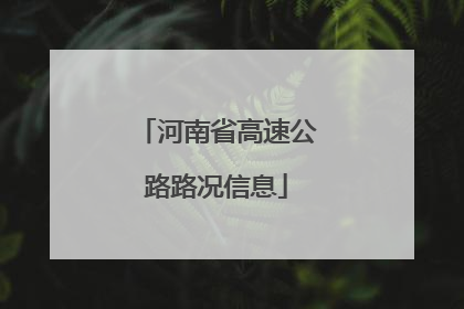 河南省高速公路路况信息