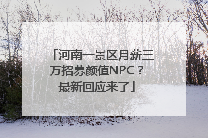 河南一景区月薪三万招募颜值NPC？最新回应来了