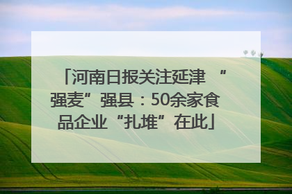 河南日报关注延津 “强麦”强县：50余家食品企业“扎堆”在此