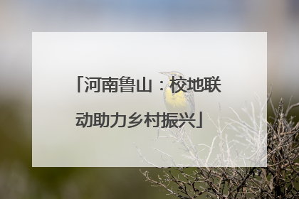 河南鲁山：校地联动助力乡村振兴