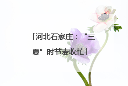 河北石家庄：“三夏”时节麦收忙