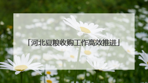 河北夏粮收购工作高效推进