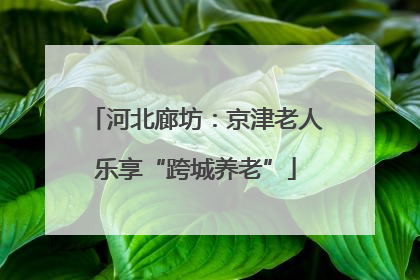 河北廊坊：京津老人乐享“跨城养老”