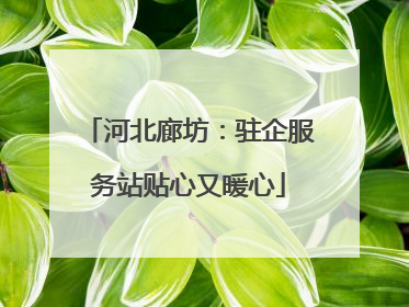 河北廊坊：驻企服务站贴心又暖心