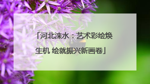 河北涞水：艺术彩绘焕生机 绘就振兴新画卷
