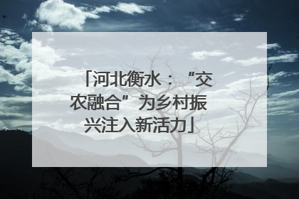 河北衡水：“交农融合”为乡村振兴注入新活力