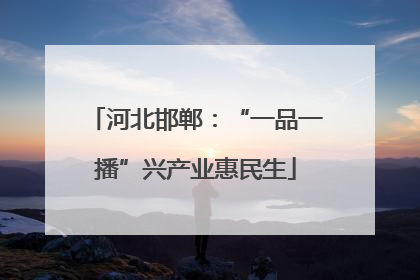 河北邯郸：“一品一播”兴产业惠民生