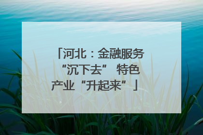 河北：金融服务“沉下去” 特色产业“升起来”