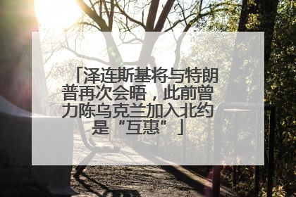 泽连斯基将与特朗普再次会晤，此前曾力陈乌克兰加入北约是“互惠”