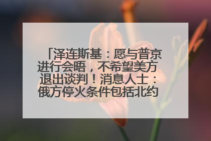 泽连斯基：愿与普京进行会晤，不希望美方退出谈判！消息人士：俄方停火条件包括北约“书面”保证不东扩