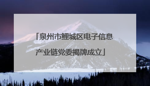 泉州市鲤城区电子信息产业链党委揭牌成立