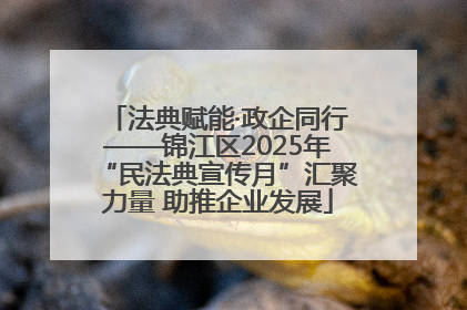法典赋能·政企同行——锦江区2025年“民法典宣传月”汇聚力量 助推企业发展