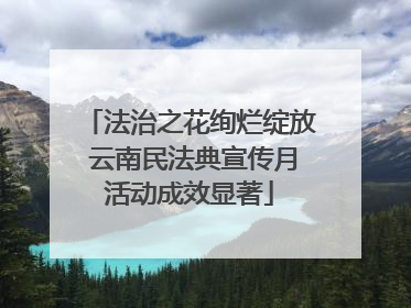 法治之花绚烂绽放 云南民法典宣传月活动成效显著