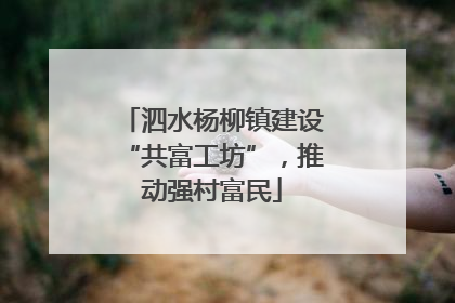 泗水杨柳镇建设“共富工坊”，推动强村富民
