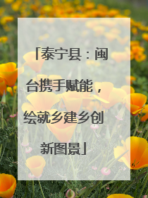 泰宁县：闽台携手赋能，绘就乡建乡创新图景