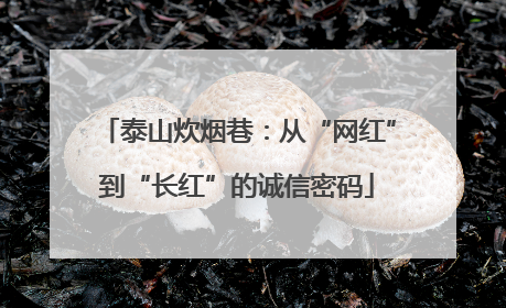 泰山炊烟巷：从“网红”到“长红”的诚信密码