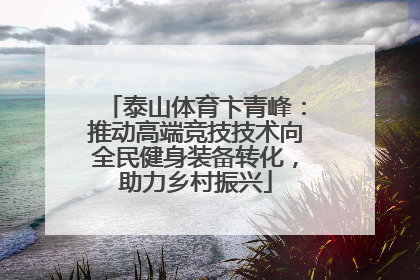 泰山体育卞青峰：推动高端竞技技术向全民健身装备转化，助力乡村振兴