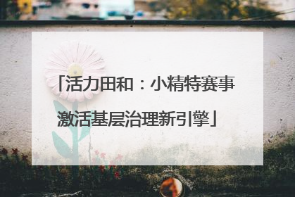 活力田和：小精特赛事激活基层治理新引擎