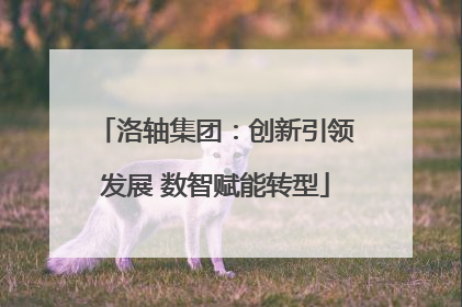 洛轴集团：创新引领发展 数智赋能转型