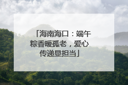 海南海口：端午粽香暖孤老，爱心传递显担当