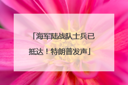 海军陆战队士兵已抵达！特朗普发声