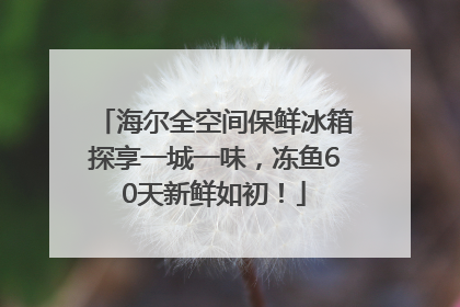 海尔全空间保鲜冰箱探享一城一味，冻鱼60天新鲜如初！