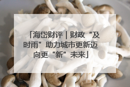 海岱财评｜财政“及时雨”助力城市更新迈向更“新”未来
