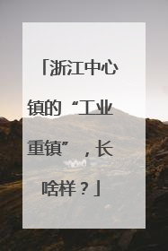 浙江中心镇的“工业重镇”，长啥样？