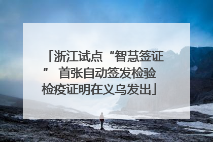 浙江试点“智慧签证” 首张自动签发检验检疫证明在义乌发出