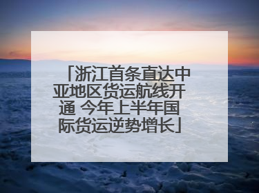 浙江首条直达中亚地区货运航线开通 今年上半年国际货运逆势增长