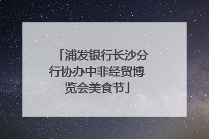 浦发银行长沙分行协办中非经贸博览会美食节