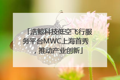 浩鲸科技低空飞行服务平台MWC上海首秀，推动产业创新