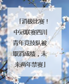 消极比赛！中冠联赛四川青年竞技队被取消成绩，未来两年禁赛