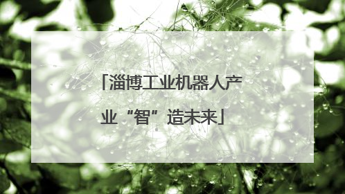 淄博工业机器人产业“智”造未来