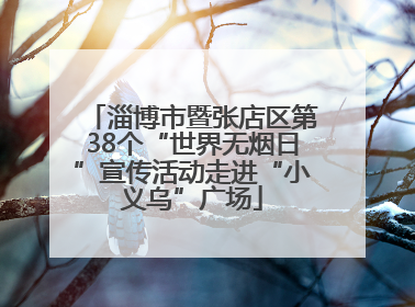 淄博市暨张店区第38个“世界无烟日”宣传活动走进“小义乌”广场