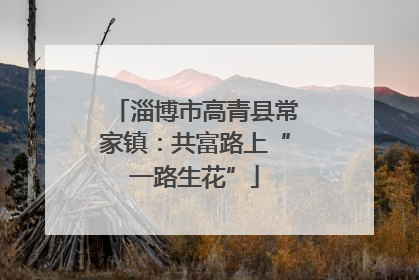 淄博市高青县常家镇：共富路上“一路生花”