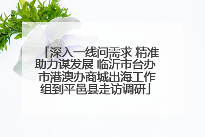 深入一线问需求 精准助力谋发展 临沂市台办 市港澳办商城出海工作组到平邑县走访调研
